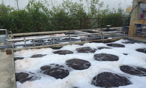 HỆ THỐNG XỬ LÝ NƯỚC THẢI CÓ NHIỀU BỌT TRẮNG TO NỔI LÊN VÀ NỔI VÁNG BỌT VÀNG, BÙN MỊN VÀ KHÓ LẮNG